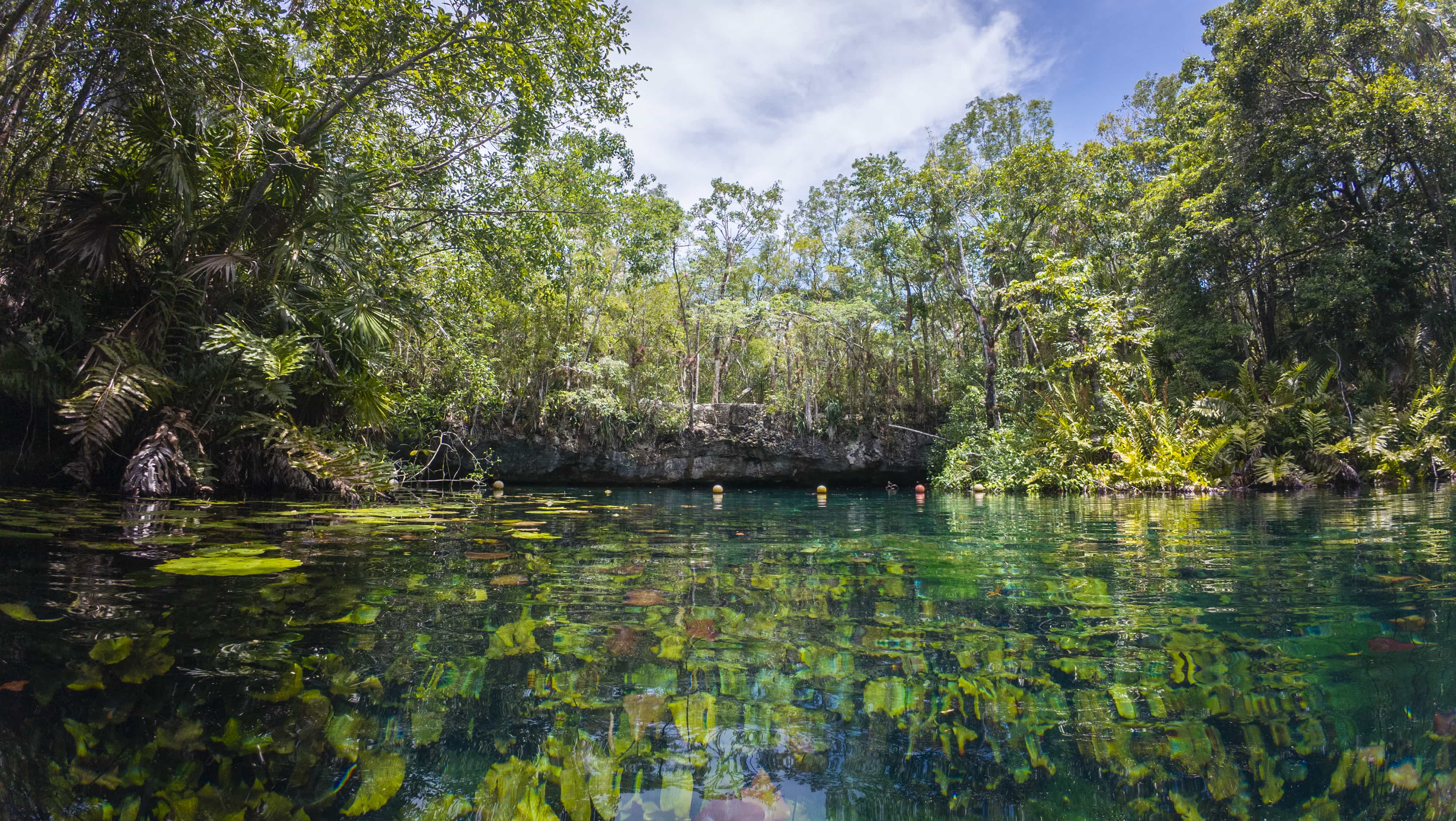 Mayan Rush: Cenotes & Ziplines photo 3